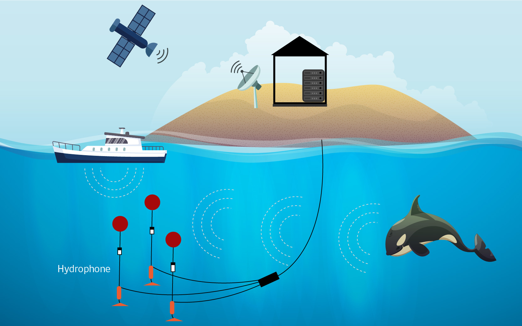 tratado.imagenes.desc2